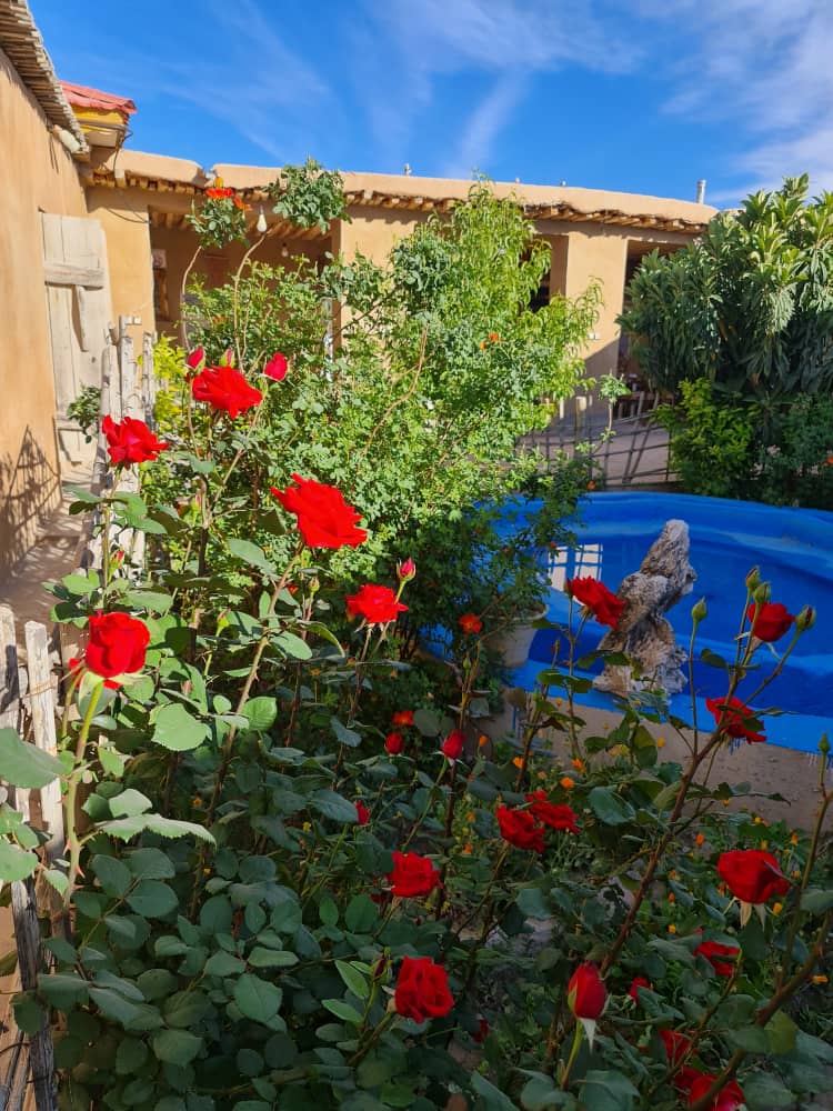 غذاهای محلی و سنتی