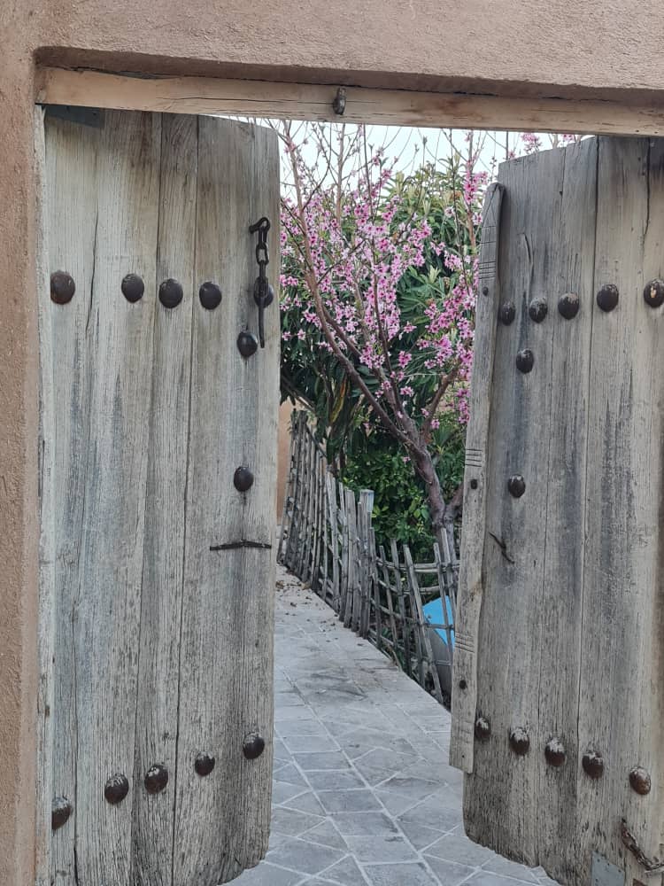 تور گردشگری